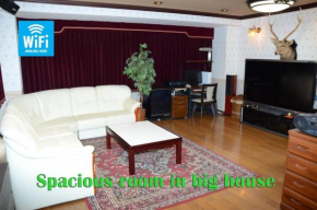 Akihito's House - Vacation STAY 13044